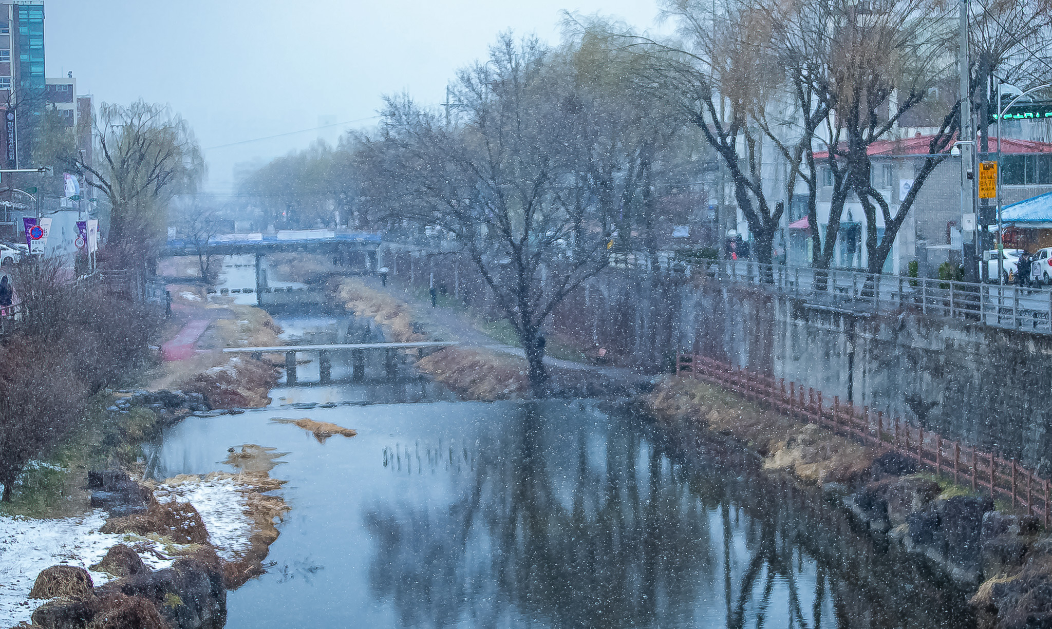 춘설 이미지