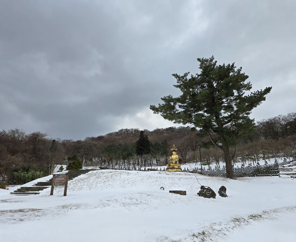 델문도커피 이미지