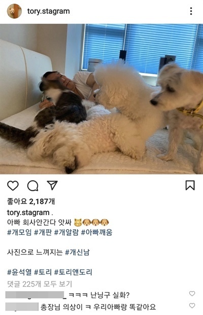 돌고래사과 이미지