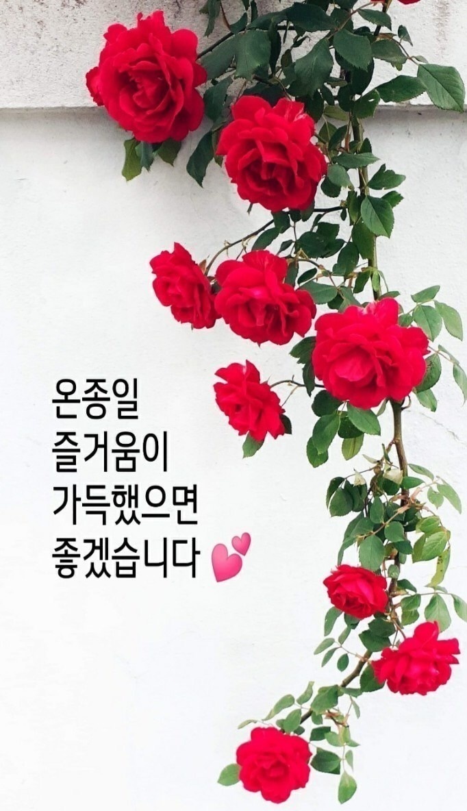 향기 이미지