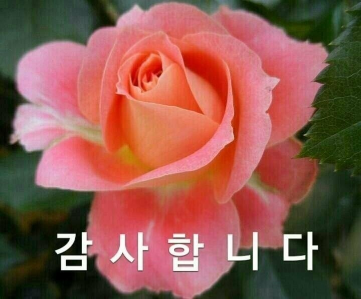 감곡 이미지