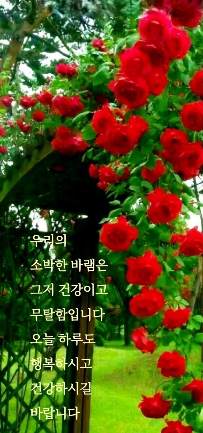 즐거운하루 이미지