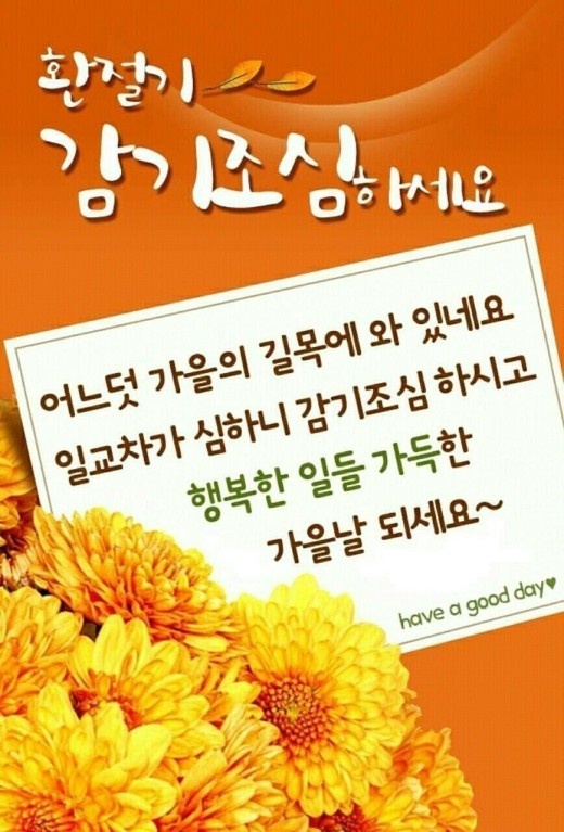 행운 이미지