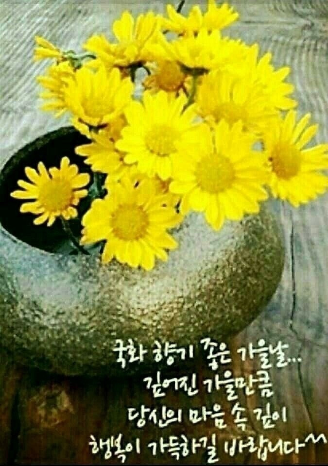 오늘도 이미지