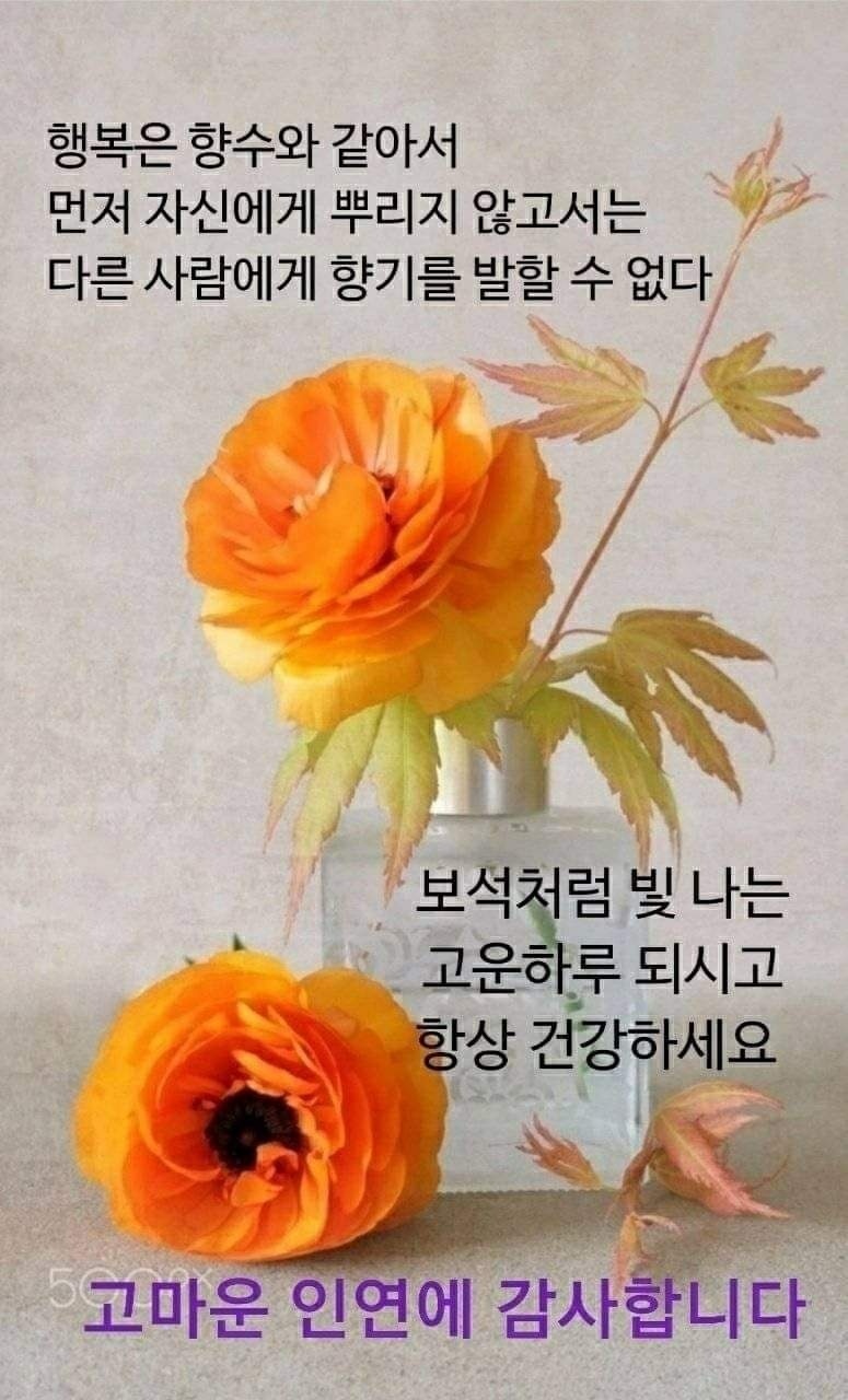 빛나는하루 이미지