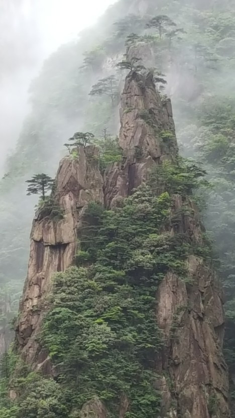 황산주 이미지
