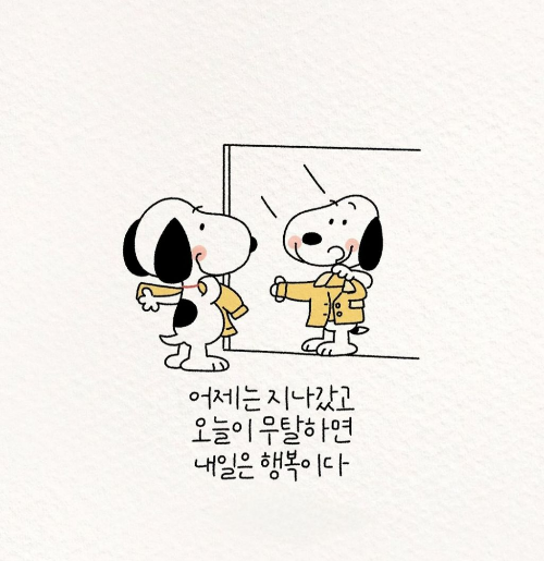 아름다울:연(娟) 이미지