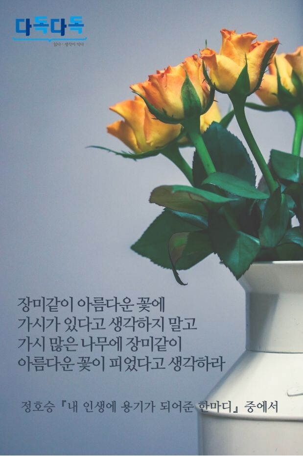 세라비 이미지