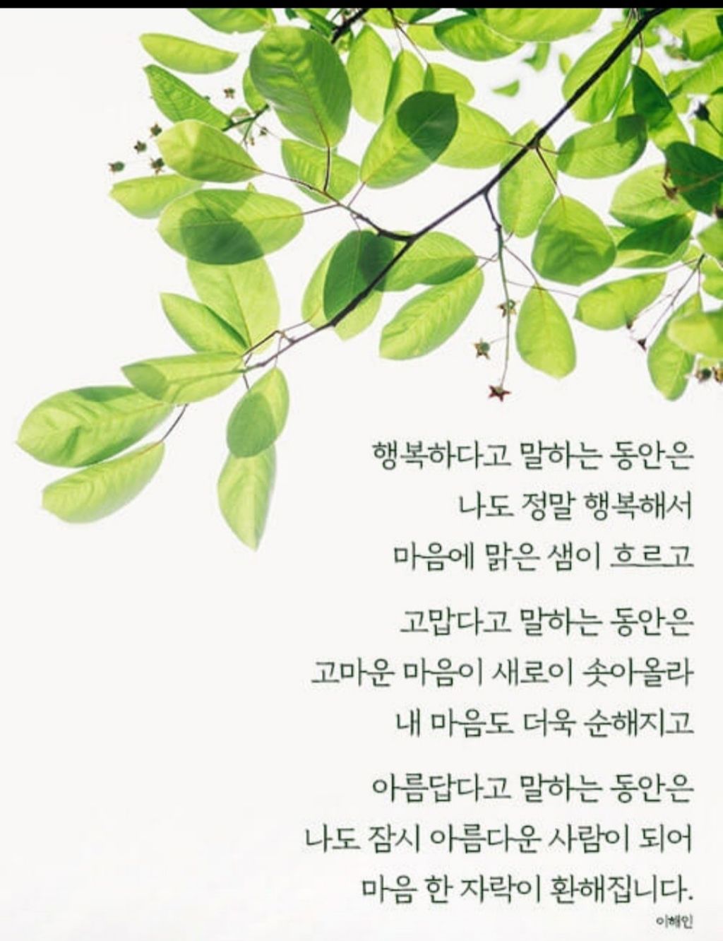 햇살한줌 이미지
