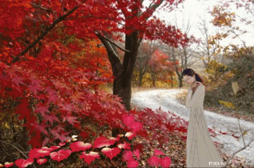 성*채 이미지