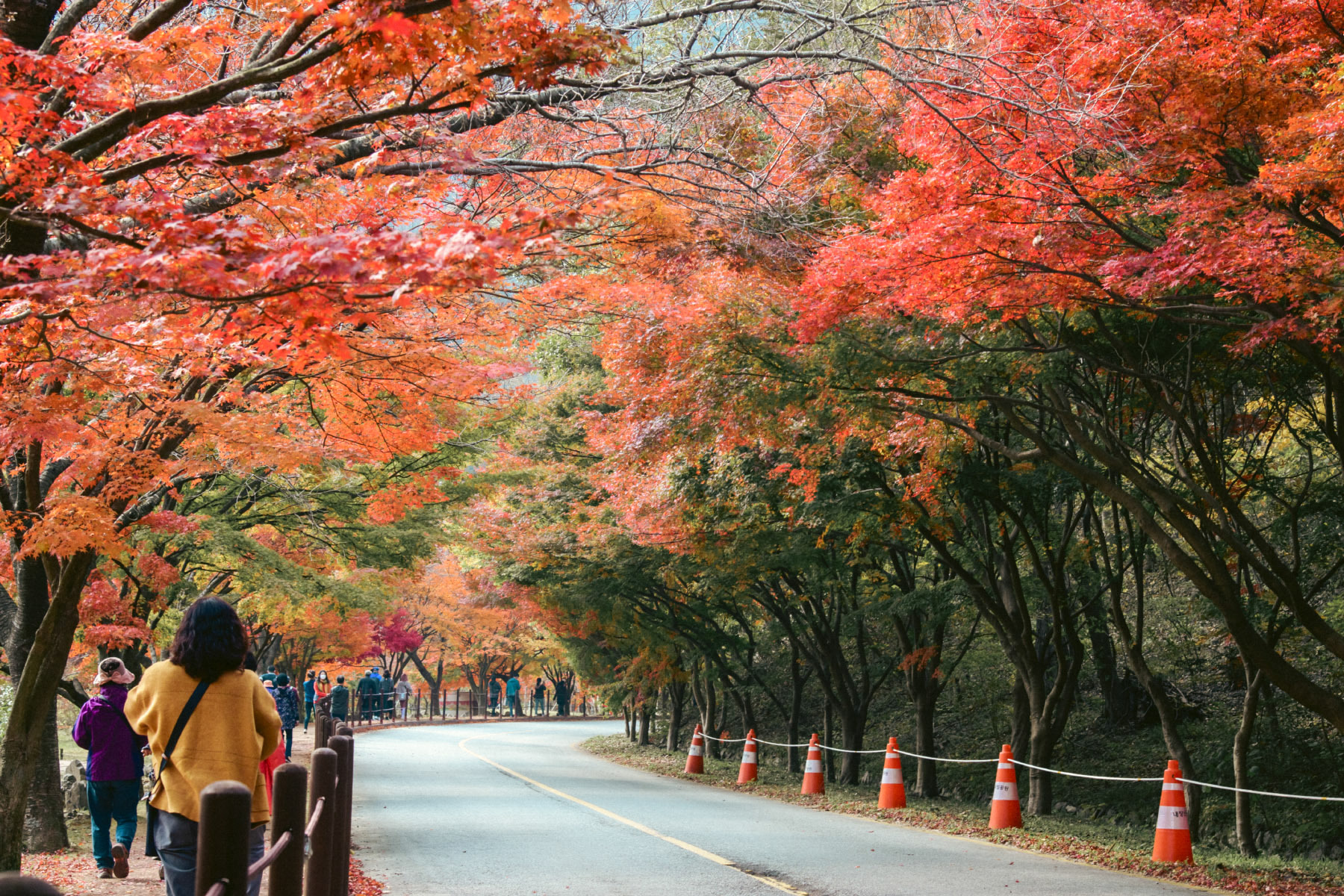 세라비 이미지