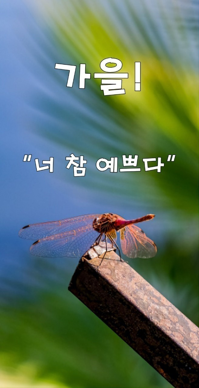 너참예쁘다 이미지