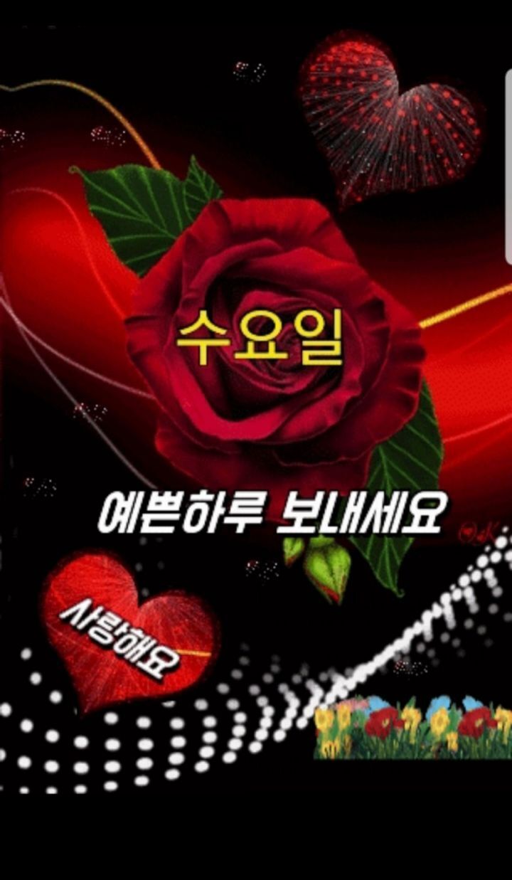세라비 이미지