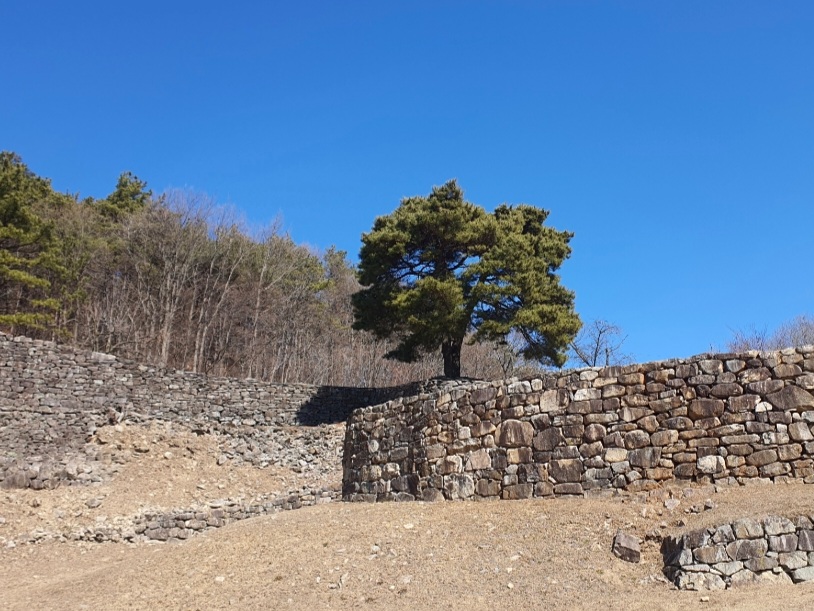 박장대소 이미지