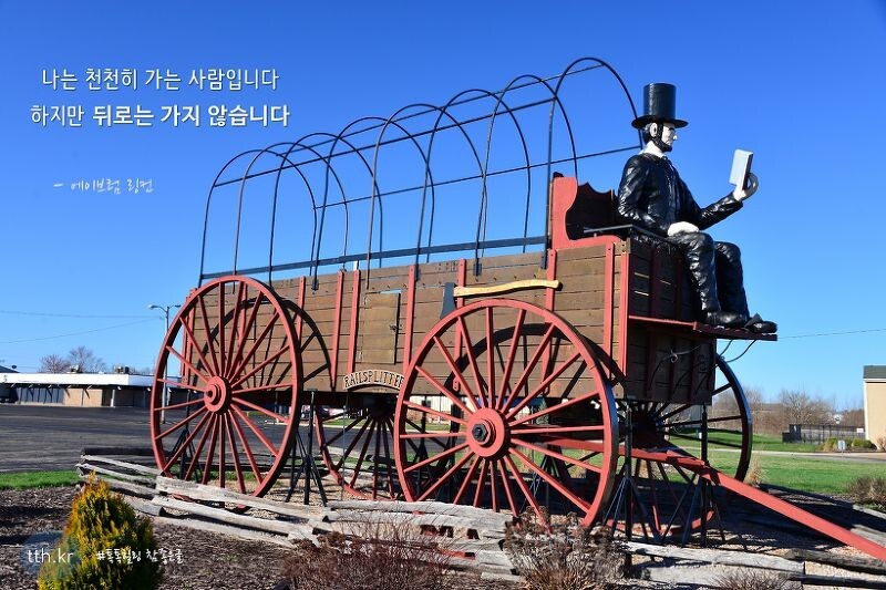 테트라 이미지