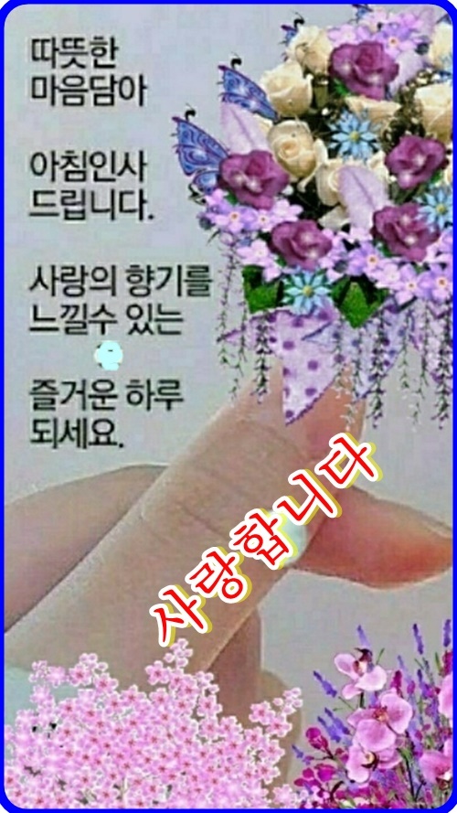 솔우 이미지