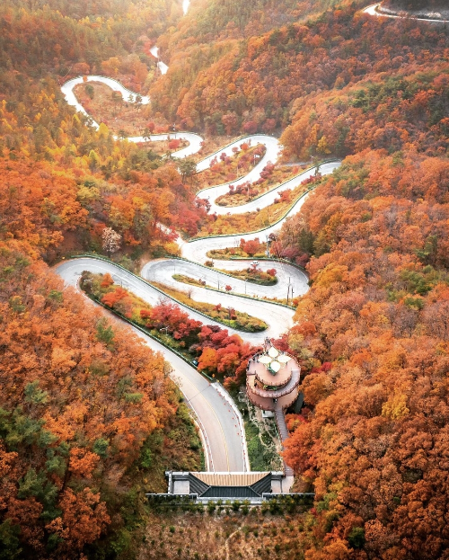 솔우 이미지