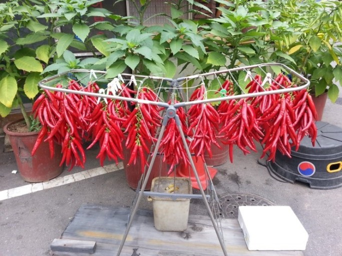 세라비 이미지