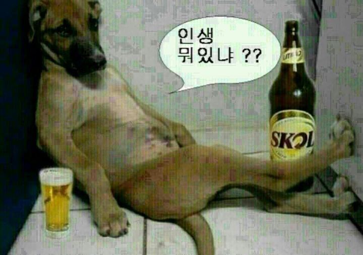 보까 이미지