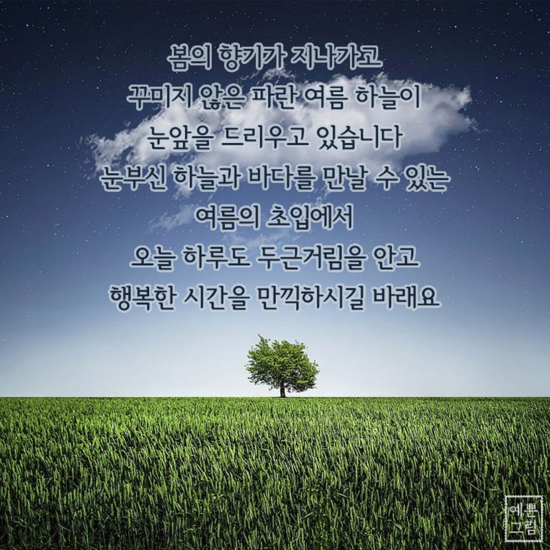 일등석유 이미지