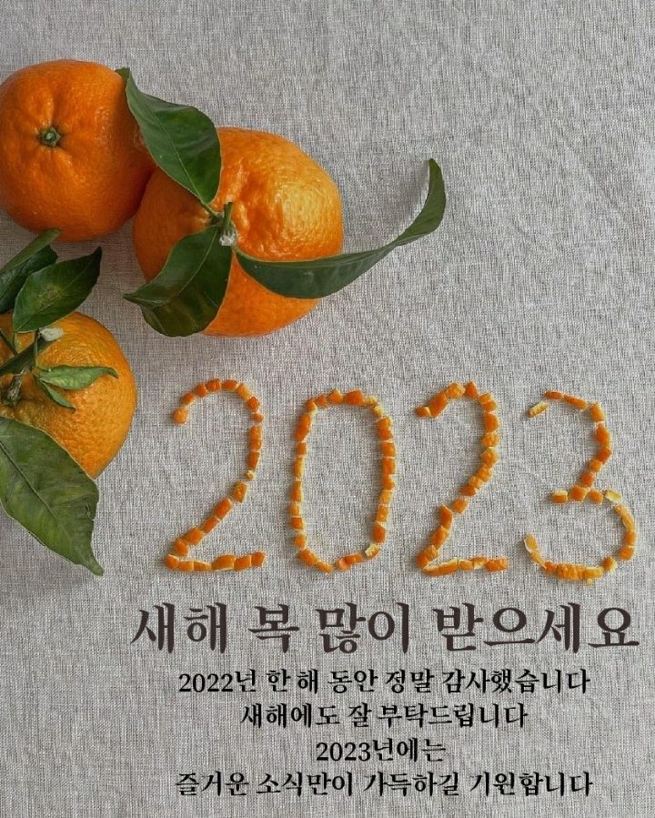 솔우 이미지