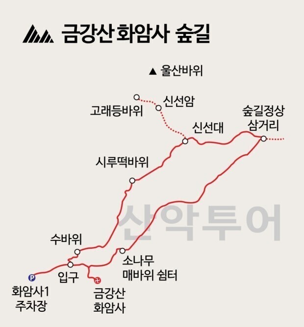 숲750 이미지