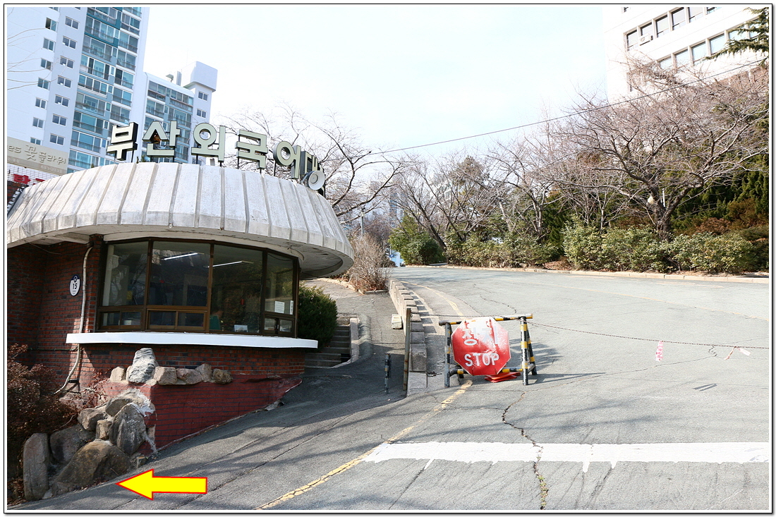 부산평화시장 이미지