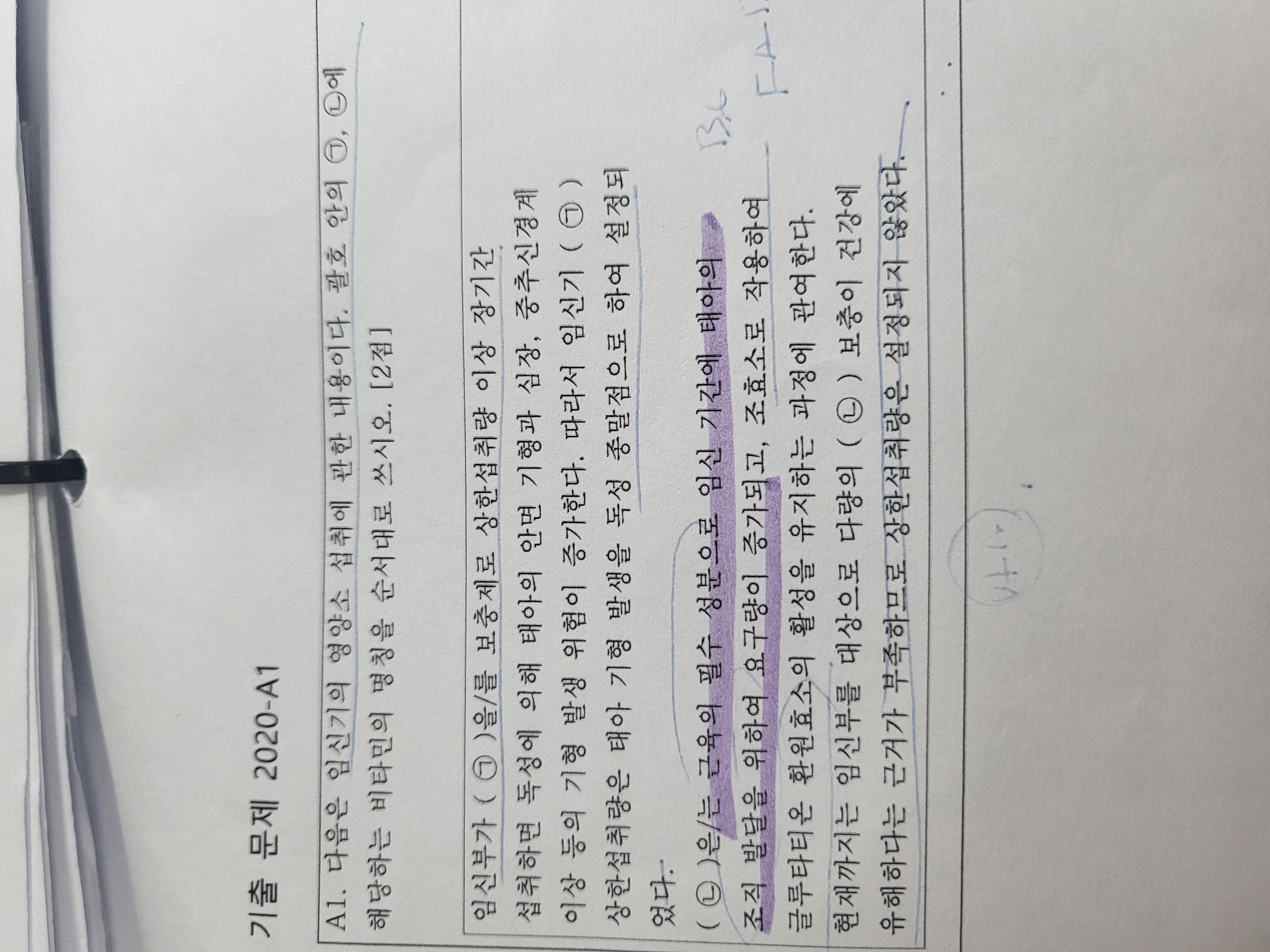 리보플라 이미지