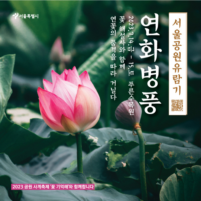 연화 이미지