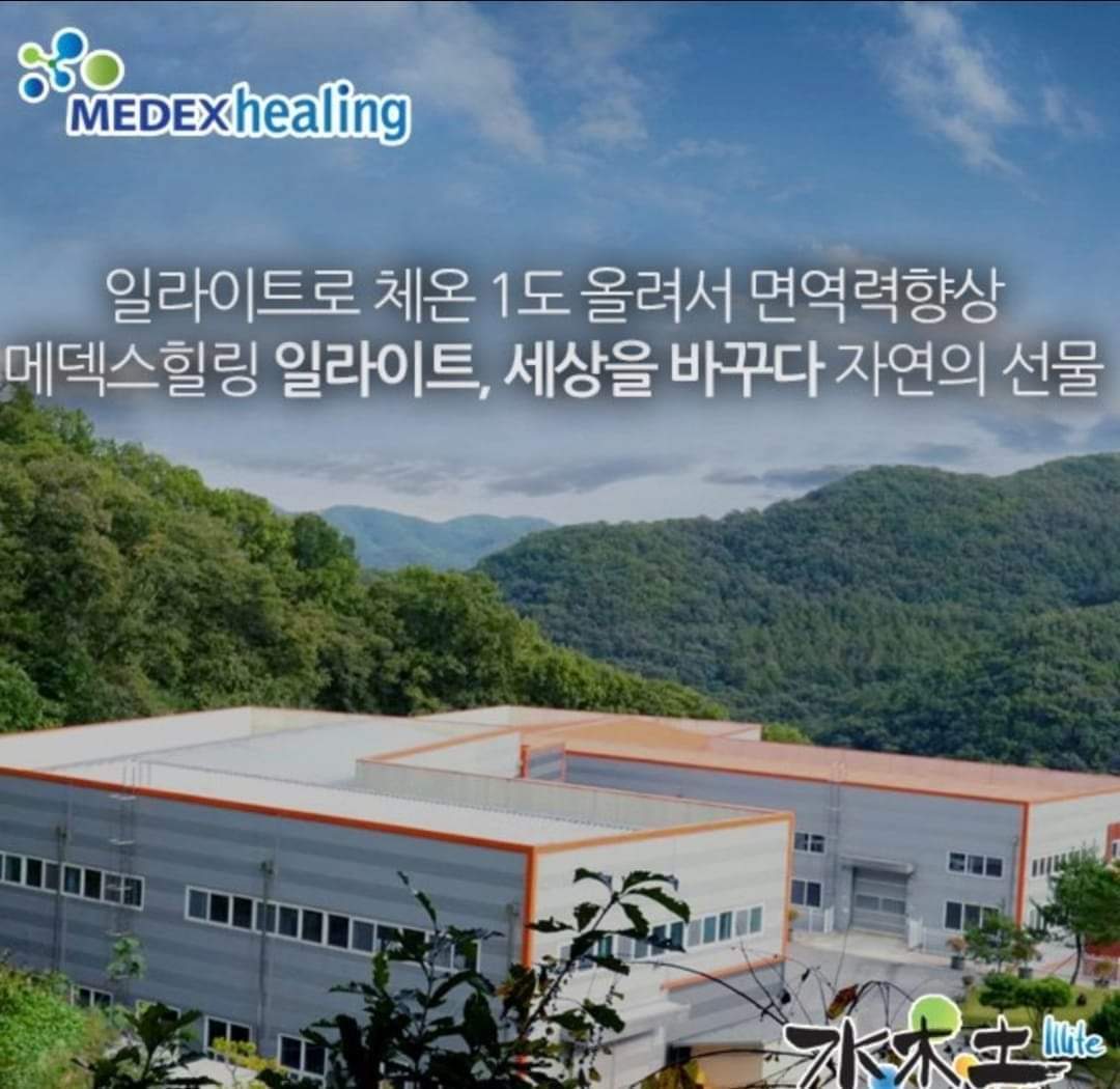 수목토일라이트힐링 이미지