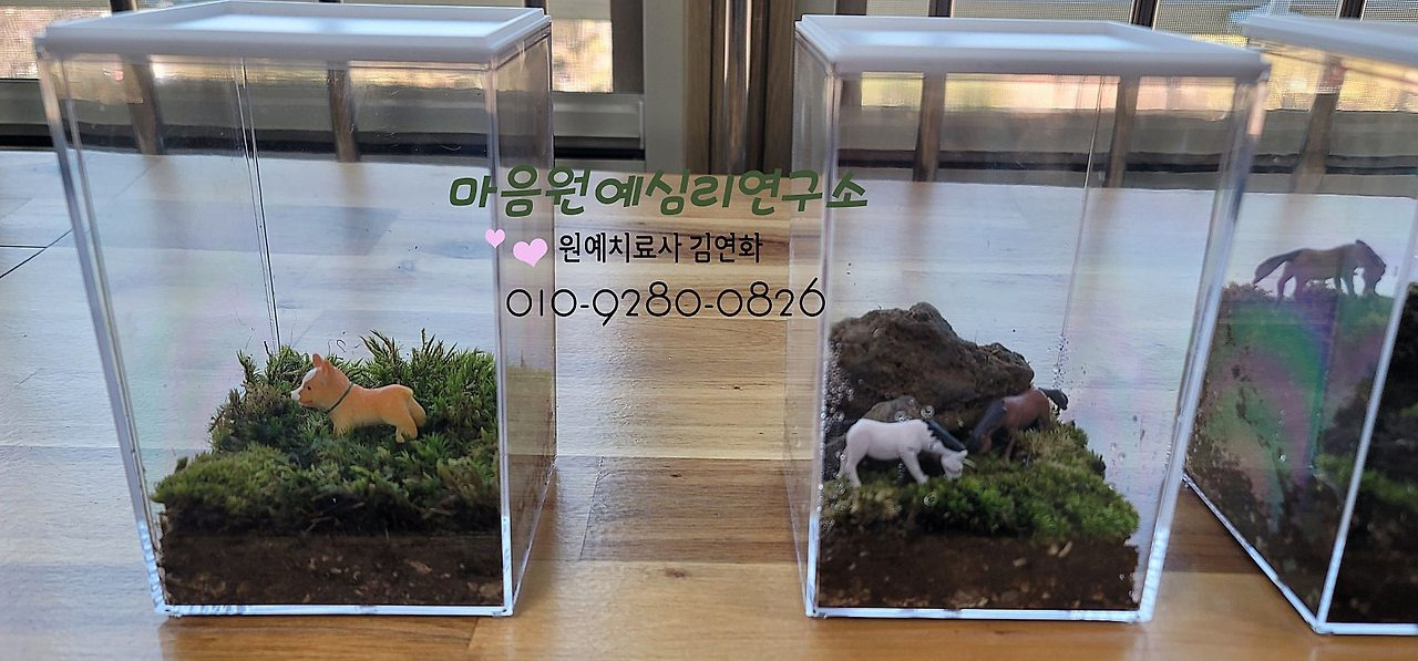 테라리움연구소 이미지