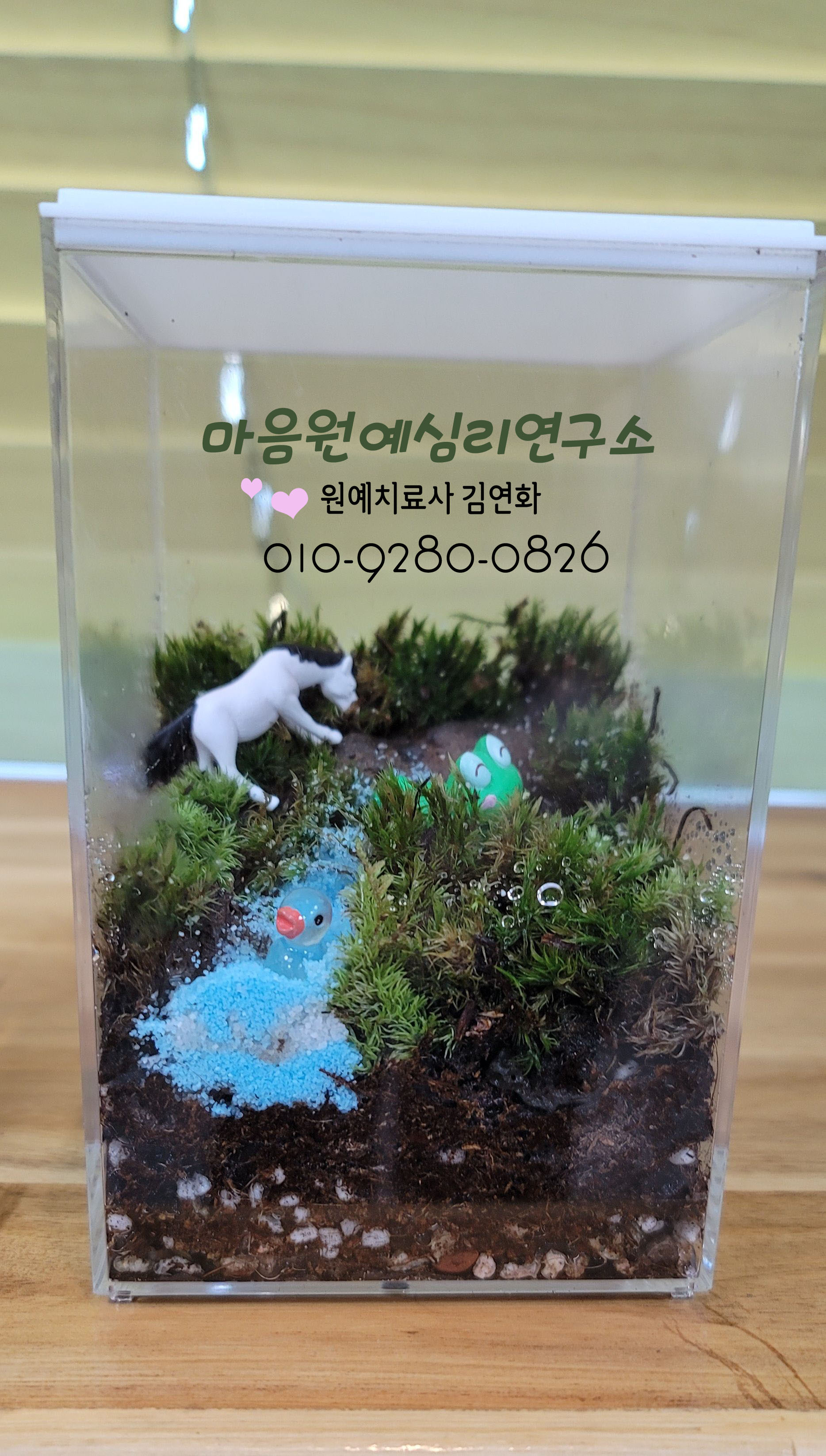 테라리움연구소 이미지