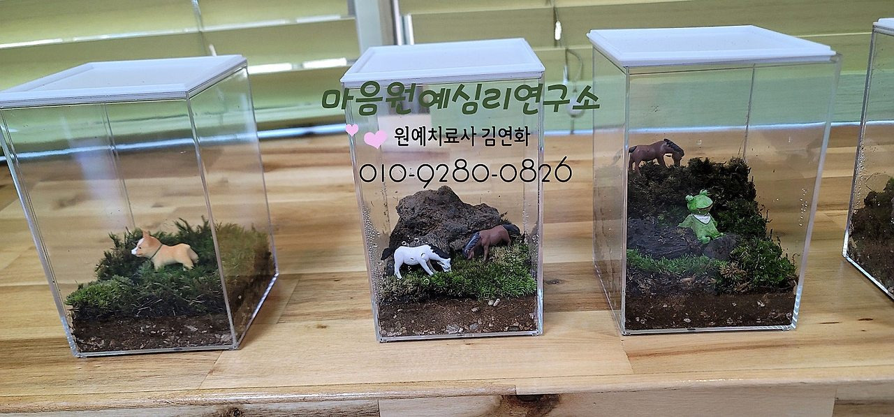 테라리움연구소 이미지