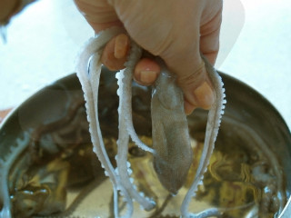 목포세발낙지 이미지