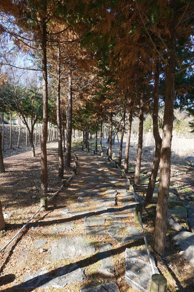 완산(완주) 이미지