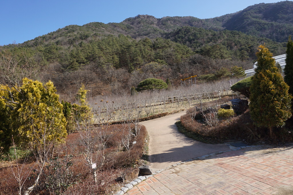 완산(완주) 이미지