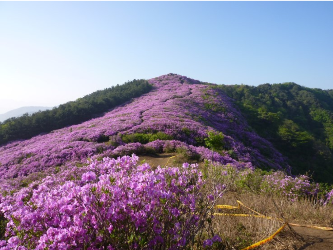 봉화산 이미지