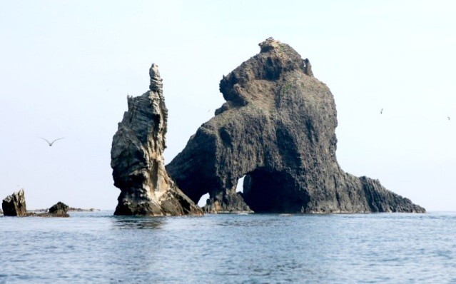 대해수 이미지