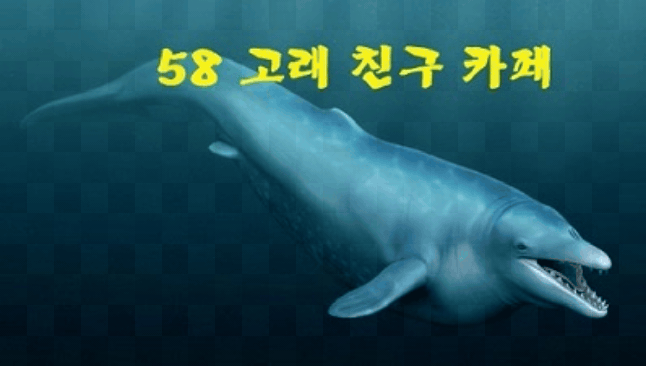 카페 프로필 이미지