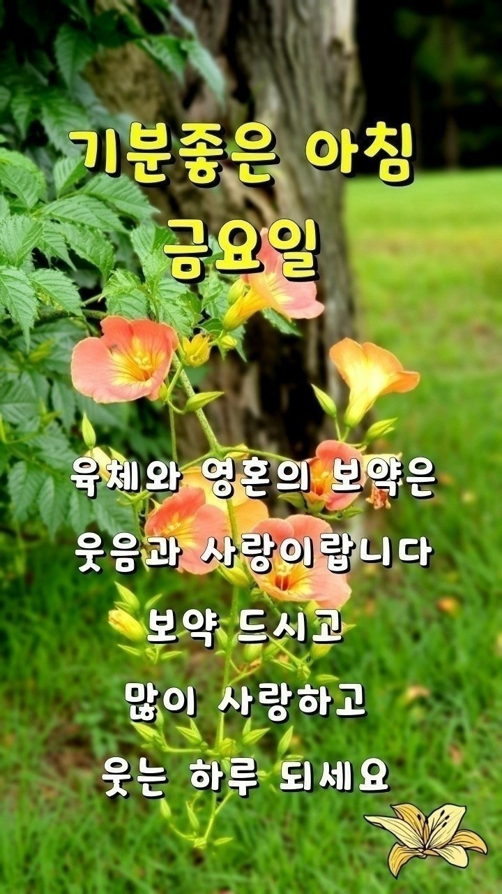금요일,카톡인사 나눠여 - ▣-이미지 자료 - 그대가 머문자리
