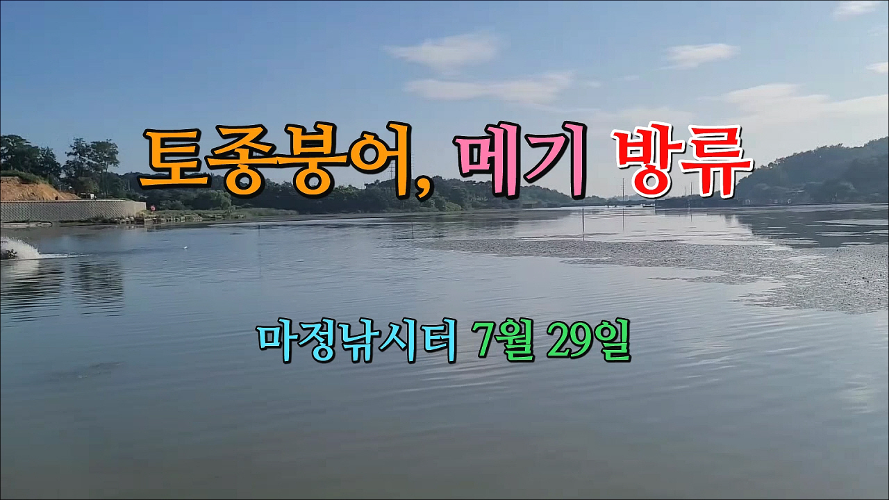 붕어랑메기랑 이미지
