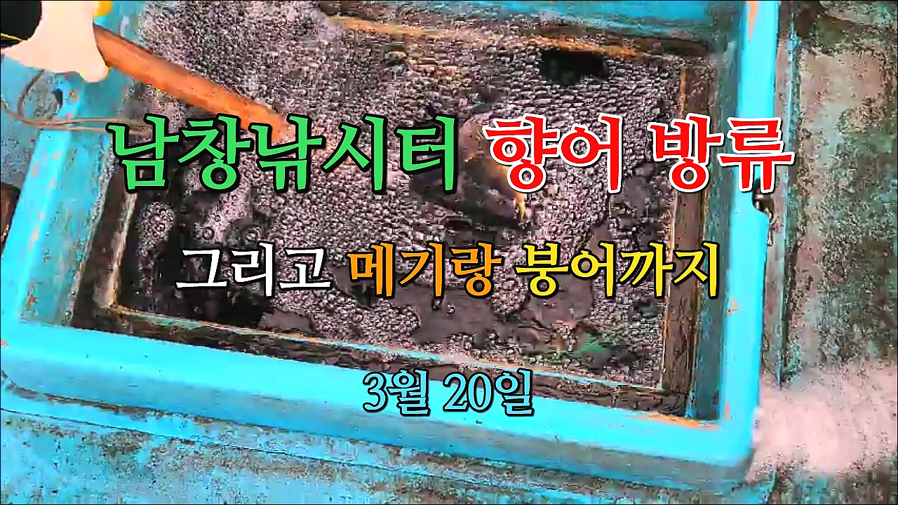 붕어랑메기랑 이미지