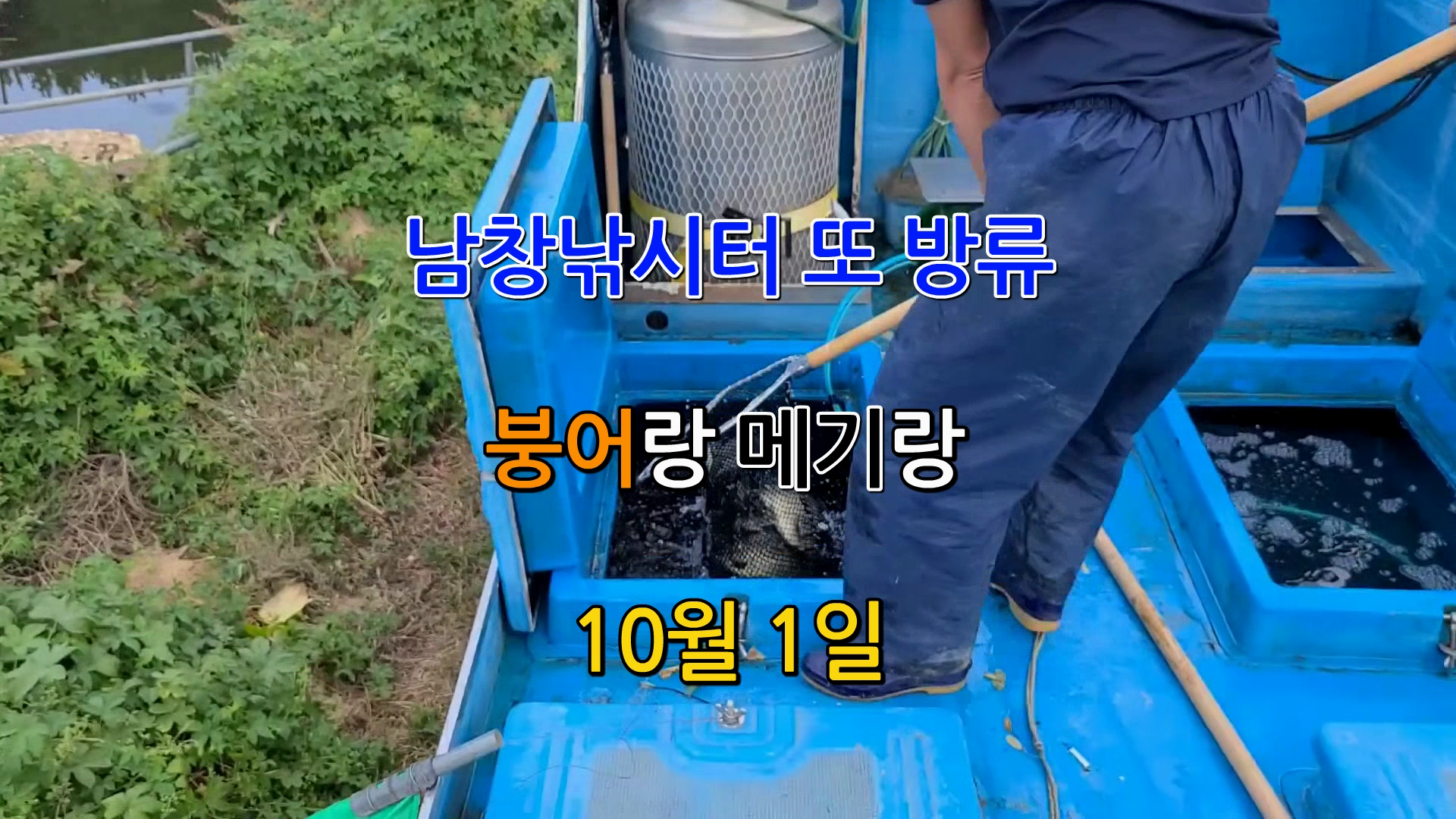 붕어랑메기랑 이미지