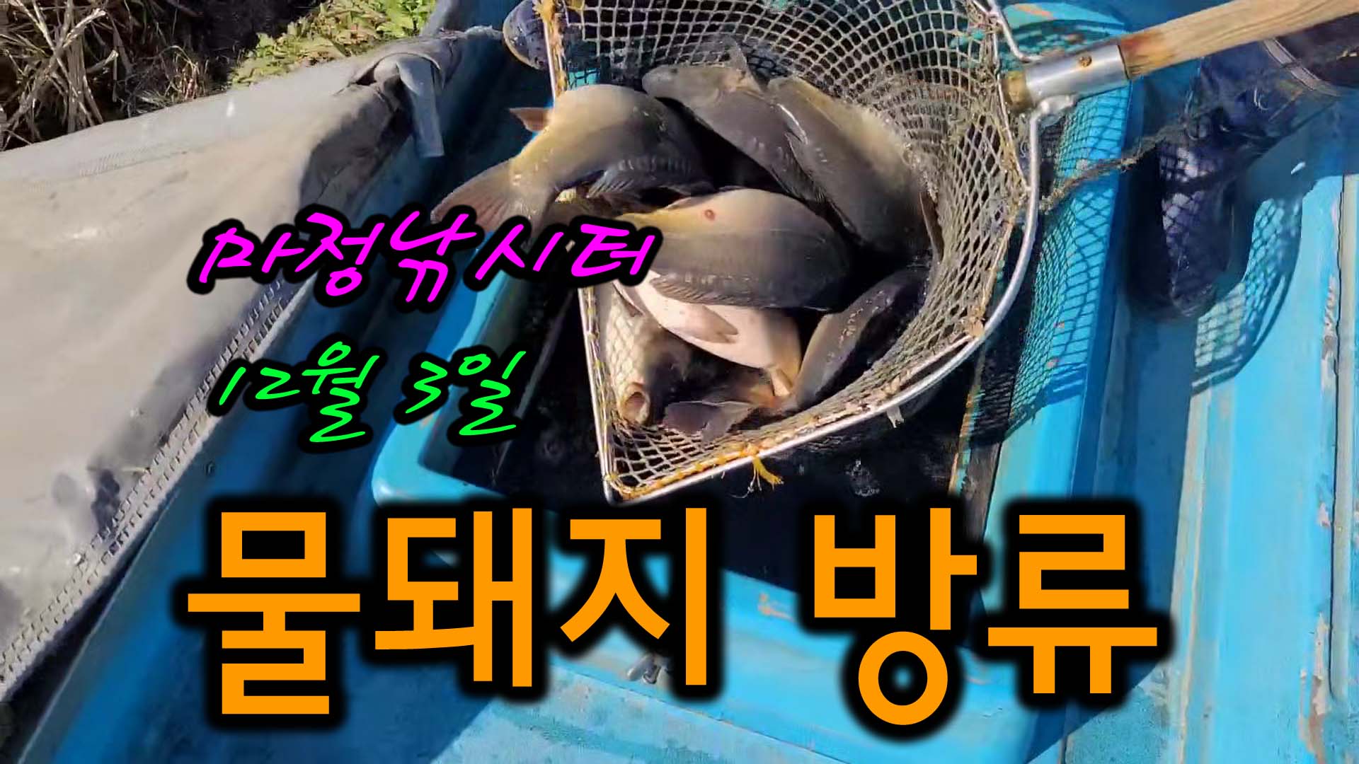 오늘은향어 이미지