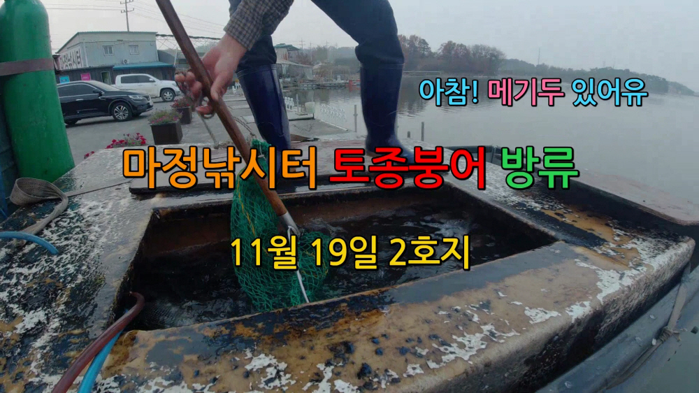 붕어랑메기랑 이미지