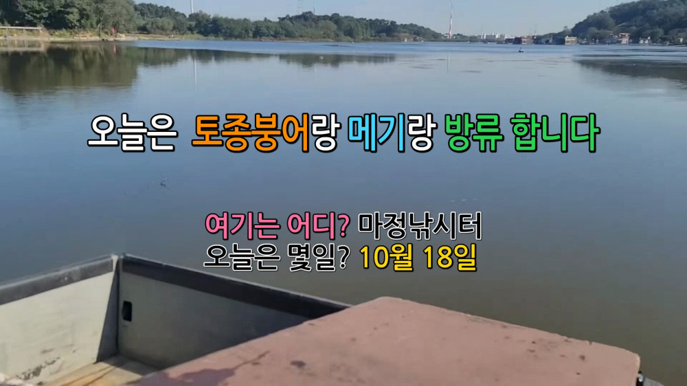 붕어랑메기랑 이미지