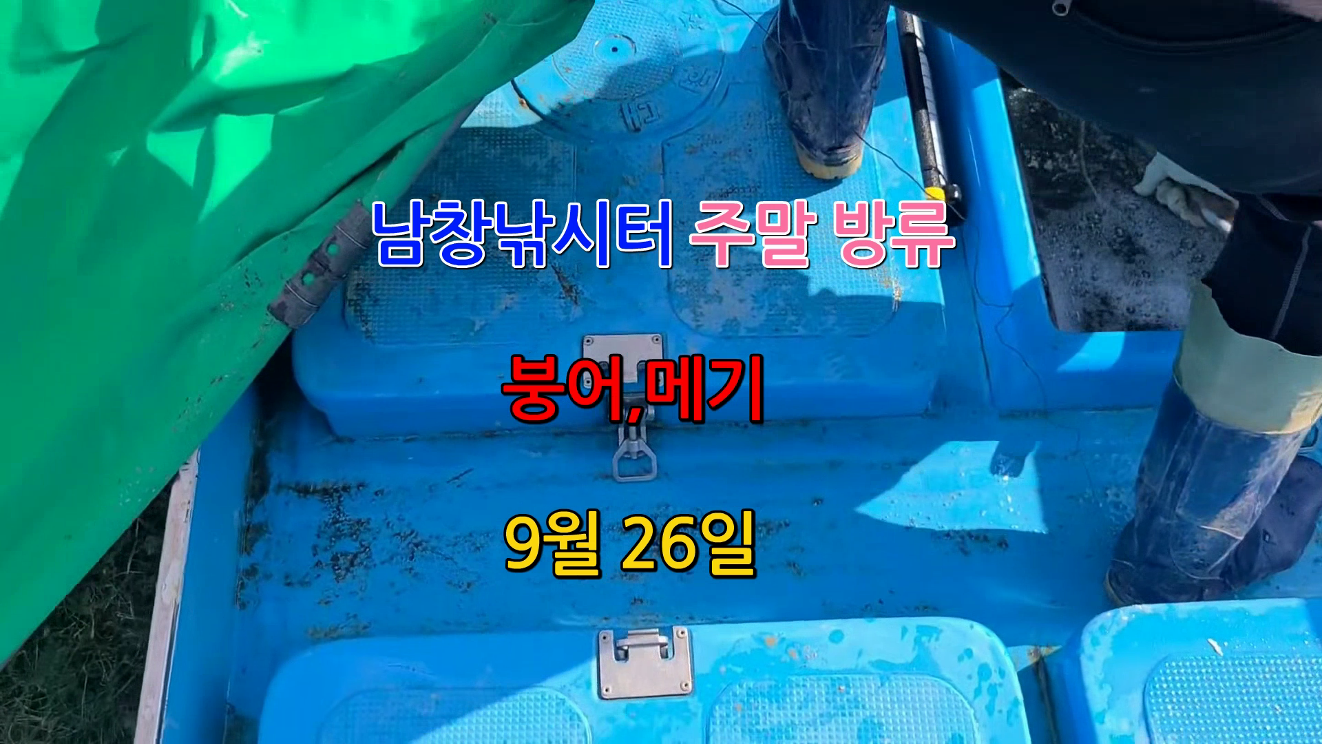 붕어랑메기랑 이미지