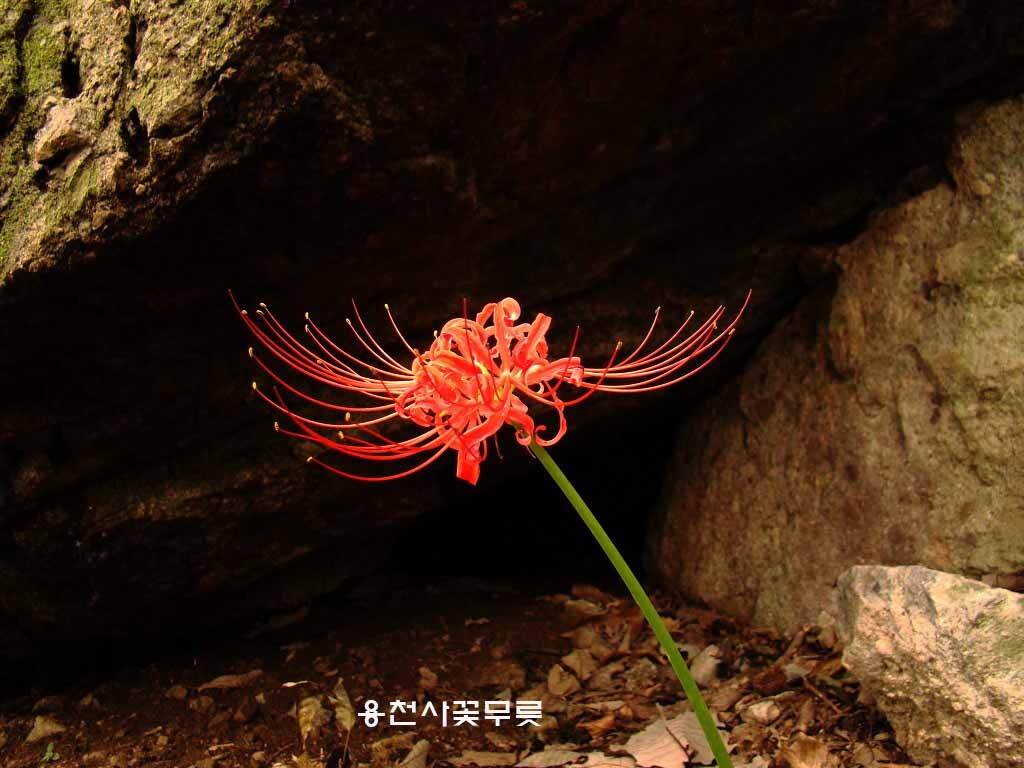아름다운상사 이미지