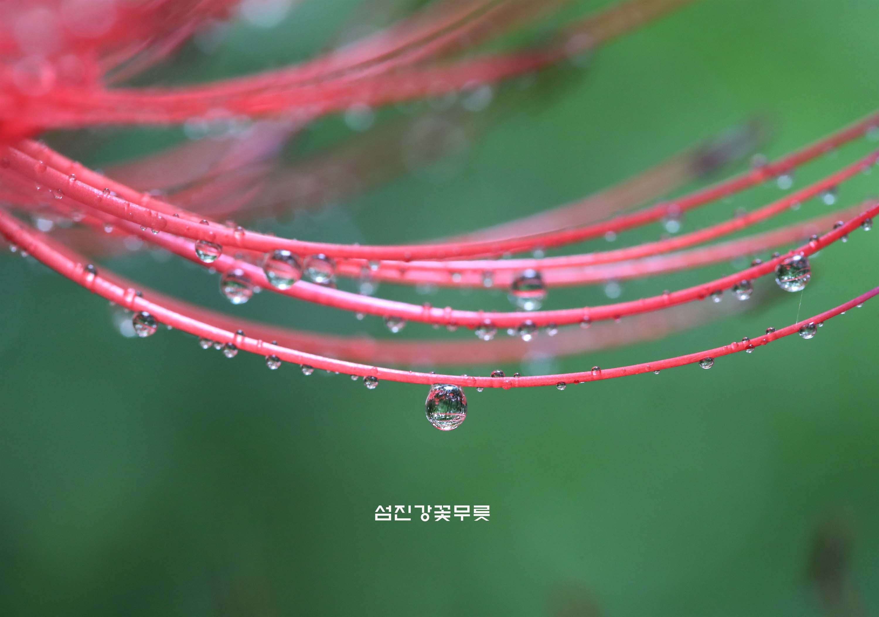 아름다운상사 이미지