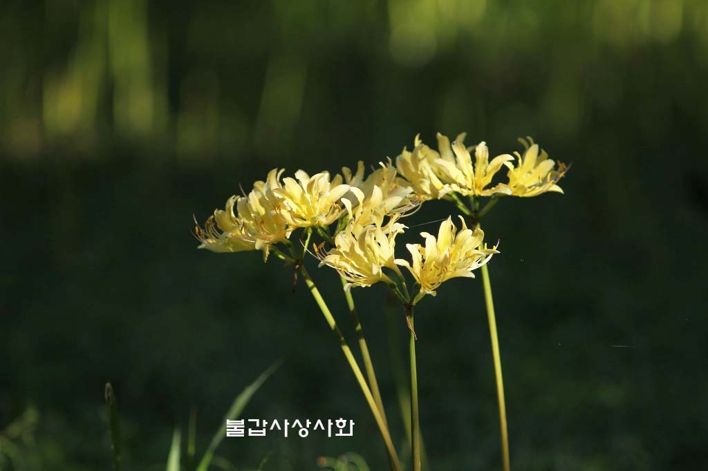 아름다운상사 이미지